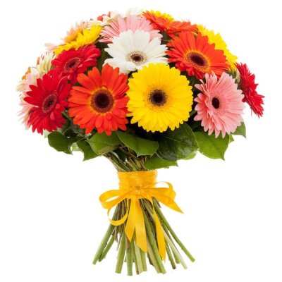 Букет из 25 Гербер микс 7355