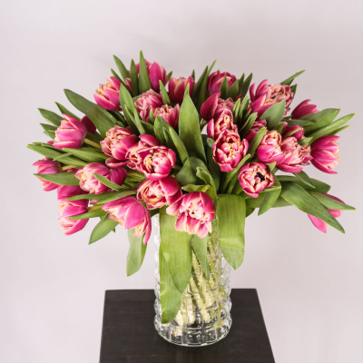 Букет из 51 пионовидного тюльпана Колумбус 46174