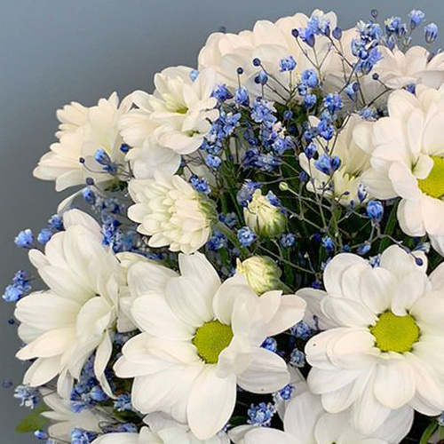 Стаканчик с хризантемой и голубой гипсофилой арт. 66995-Р