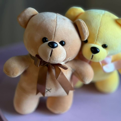 Игрушка Мишка цветной велюровый 30 см. средний N 56316