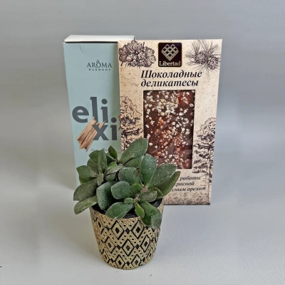 Подарочный набор "Тепла и уюта" аромадиффузор, цветок, шоколад 69389