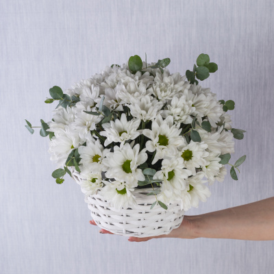 Корзина с хризантемой "Летнее настроение" 36287