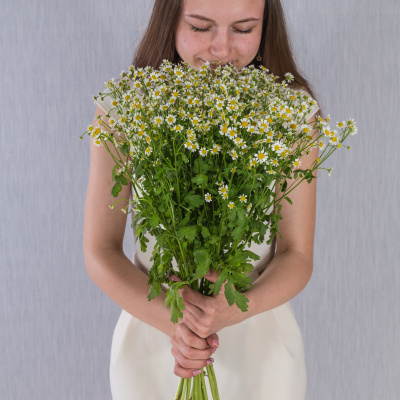 Букет из мелких кустовых ромашек танацетумов арт. 50581